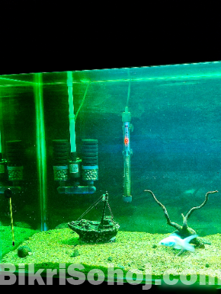 Aquarium Sell
